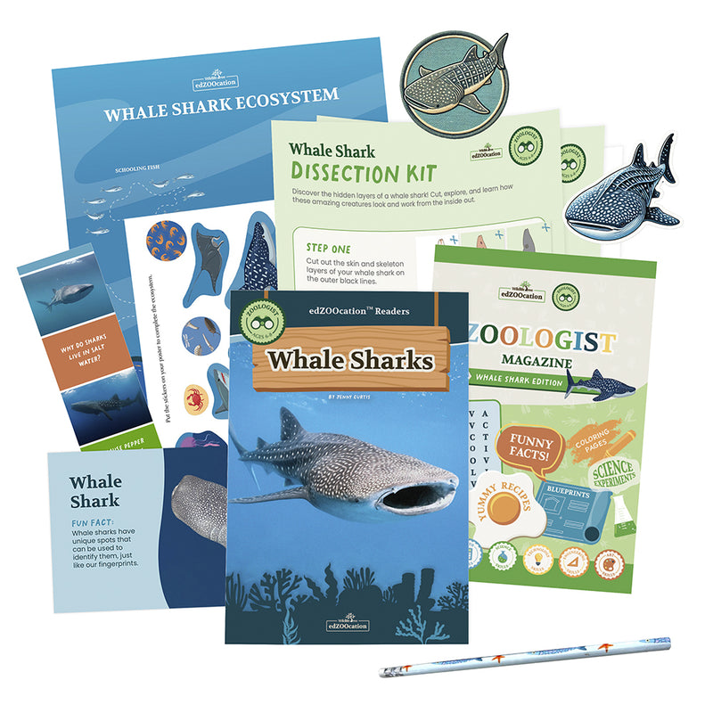 Whale Shark Stuffed Animal edZOOcation Zoologist Box (Ages 6-8)