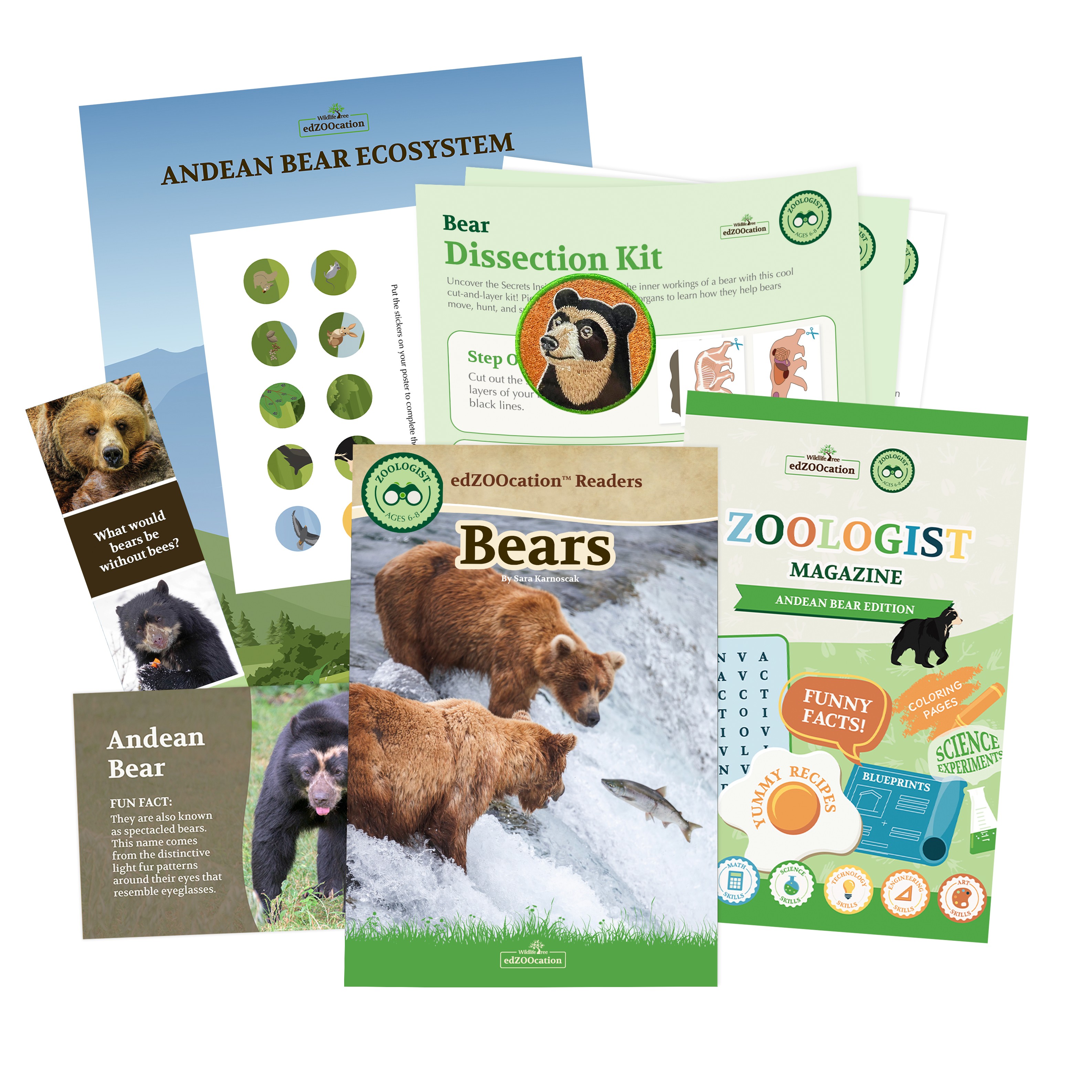 Bear Zoologist Box (Ages 6-8)