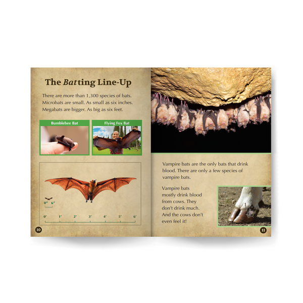 Bats Wildlife Tree edZOOcation™ Readers Book (Level 2)- Paperback