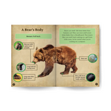 Bears Wildlife Tree edZOOcation™ Readers Book (Level 2) - Paperback