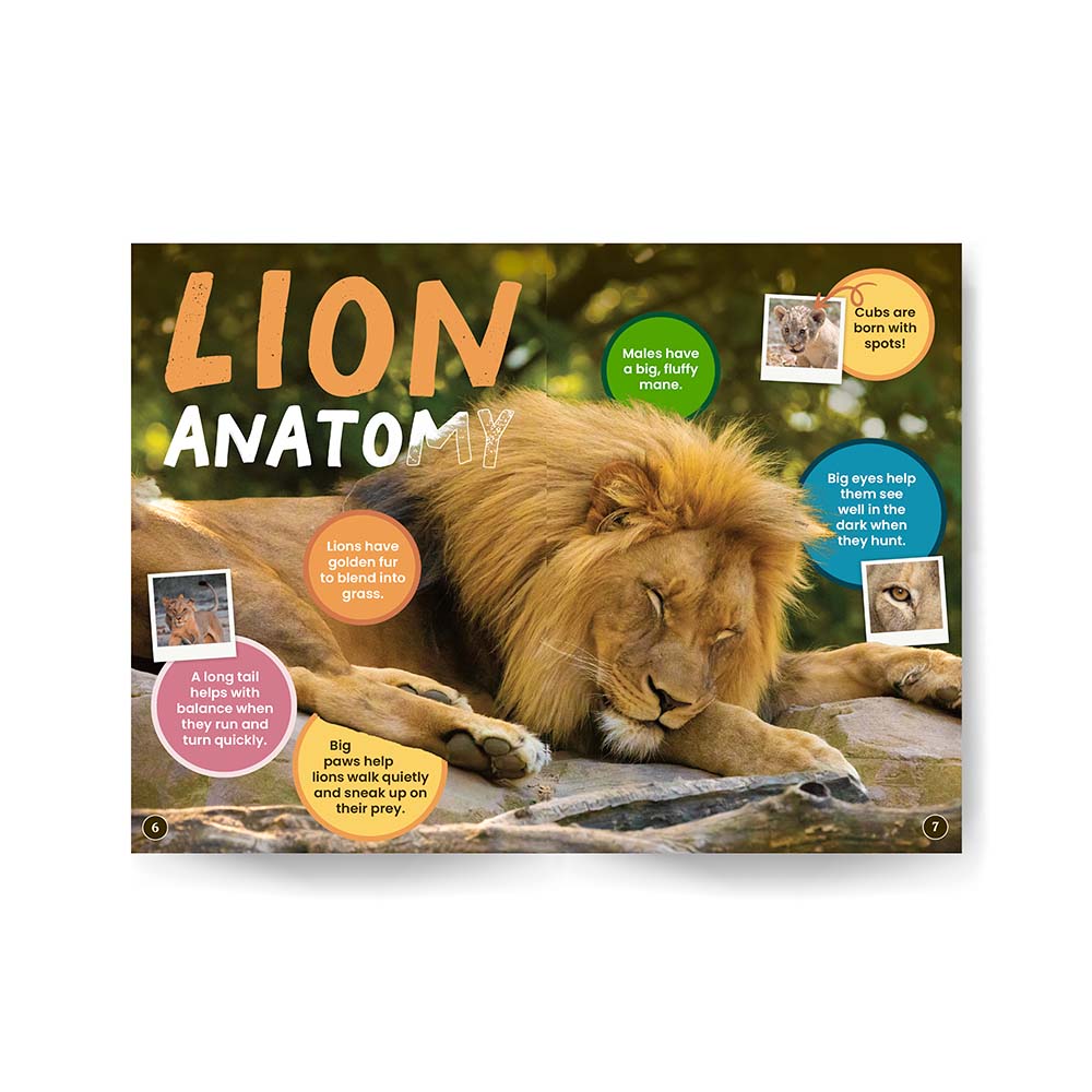 Lions edZOOcation Zoologist Book - Paperback