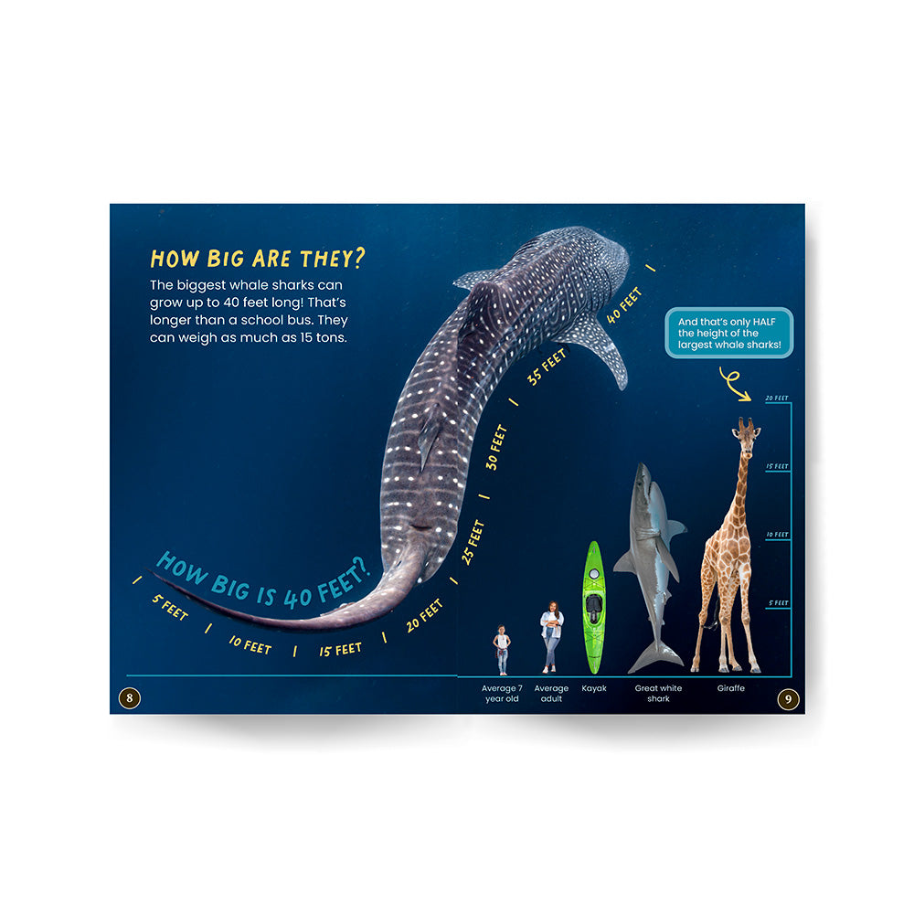 Whale Sharks edZOOcation Zookeeper Book - Paperback