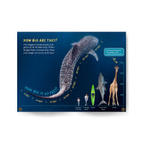 Whale Sharks edZOOcation Zookeeper Book - Paperback