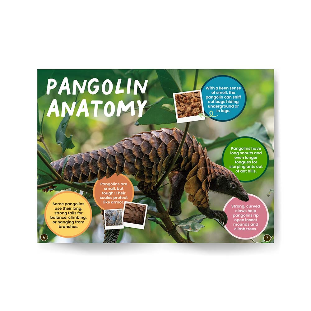 Pangolins edZOOcation Zoologist Book - Paperback