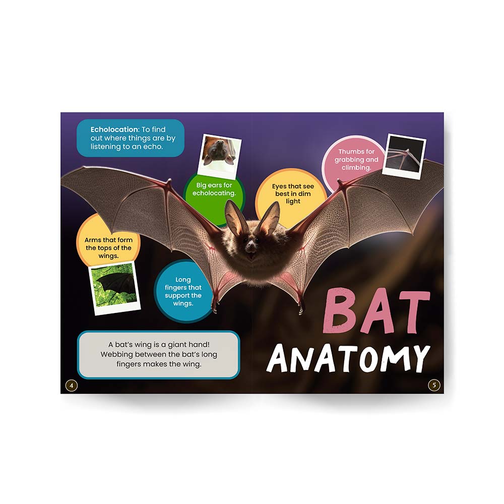 Bats & Other Animals Wildlife Tree edZOOcation™ Readers Book (Pre-Reader) - Paperback