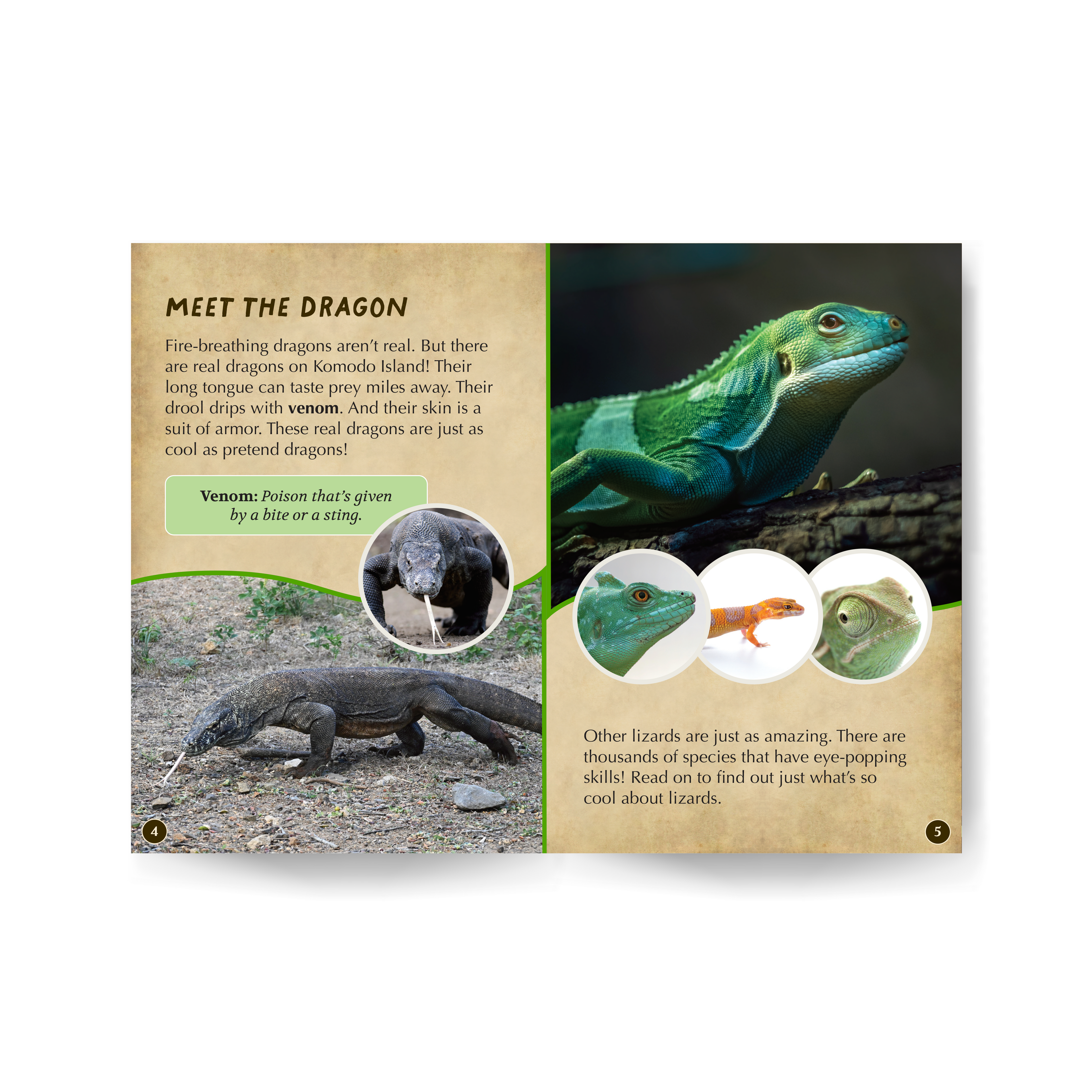 Komodo Dragons & Other Lizards Wildlife Tree edZOOcation™ Readers Book (Level 2) - Paperback