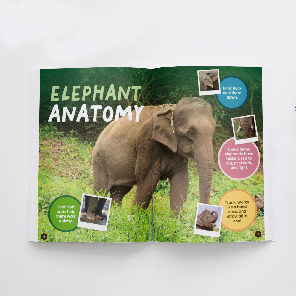 Elephants edZOOcation Zoologist Book - Paperback
