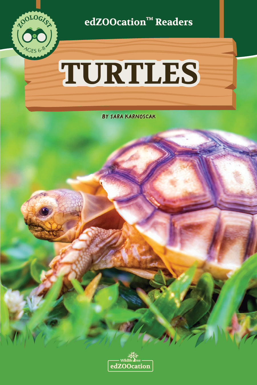 Turtles edZOOcation Zoologist Book - Paperback