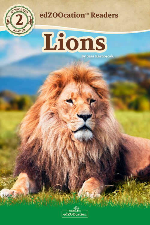 Cover of the 'edZOOcation Readers' book on lions featuring a photograph of a lion sitting on grass with a mountainous landscape in the background.