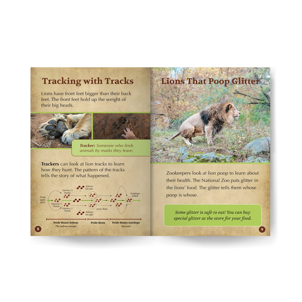 Lions edZOOcation Zoologist Book - Paperback