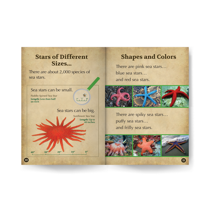 Sea Stars Wildlife Tree edZOOcation™ Readers Book (Level 1) - Paperback