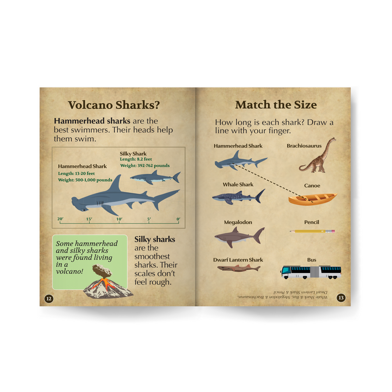 Sharks Wildlife Tree edZOOcation™ Readers Book (Level 1) - Paperback