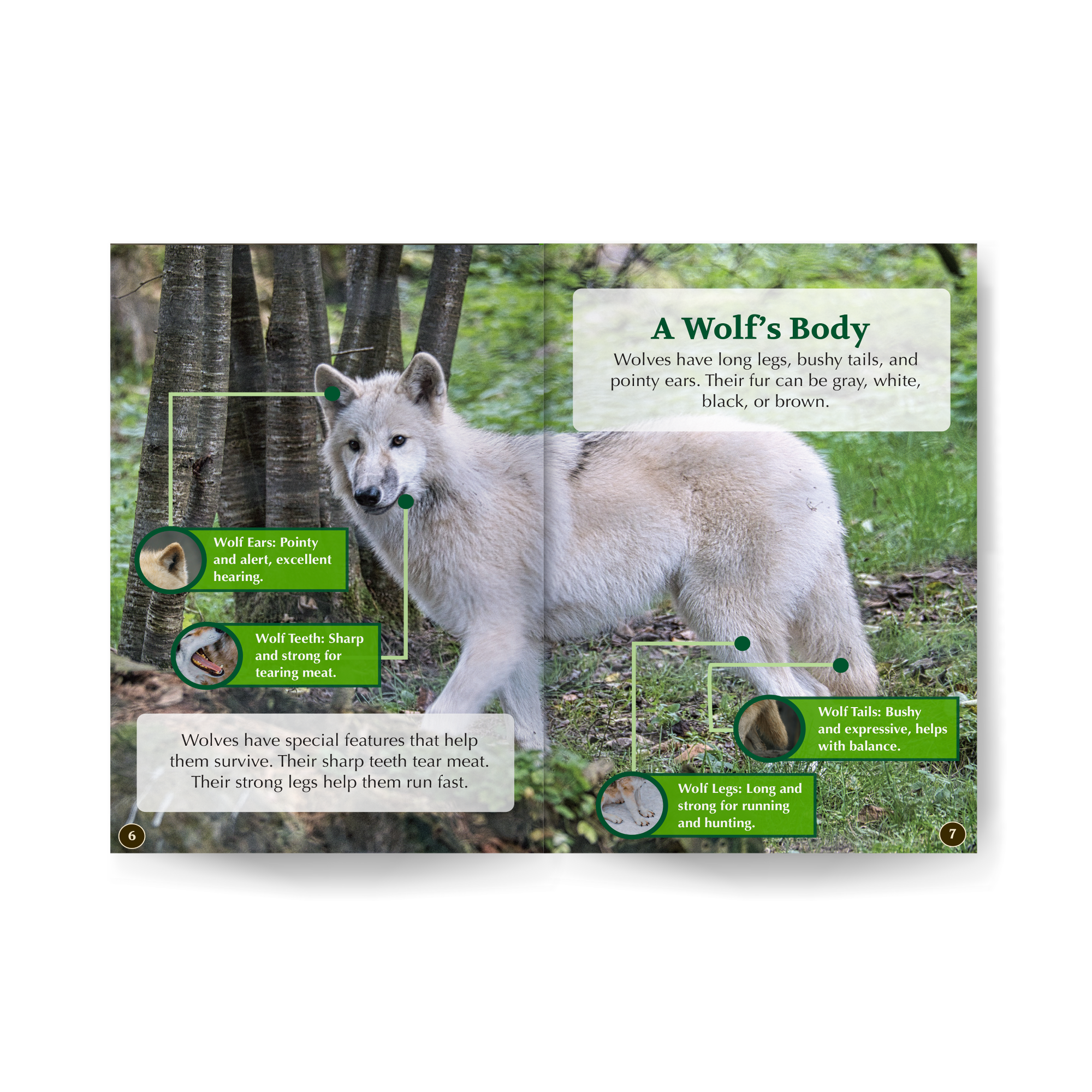 Wolves edZOOcation Zoologist Book - Paperback