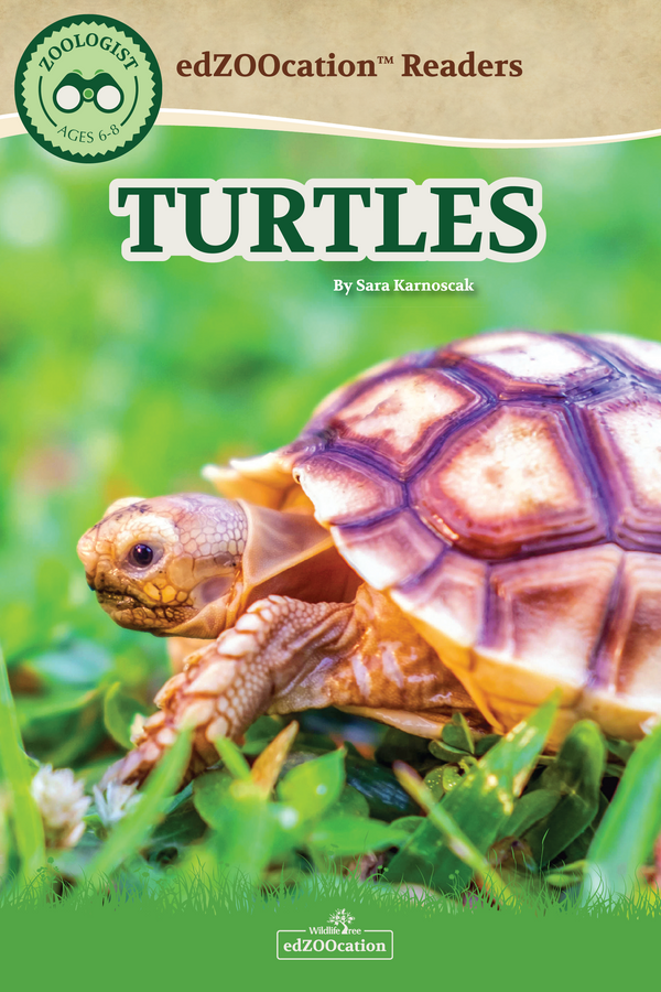 Turtles edZOOcation Zoologist Book - Paperback