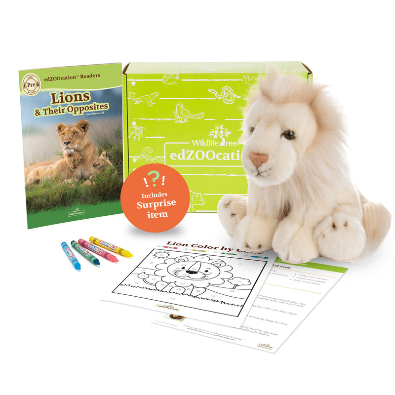 Lion Stuffed Animal edZOOcation™ Zookeeper Box (Ages 3-5)