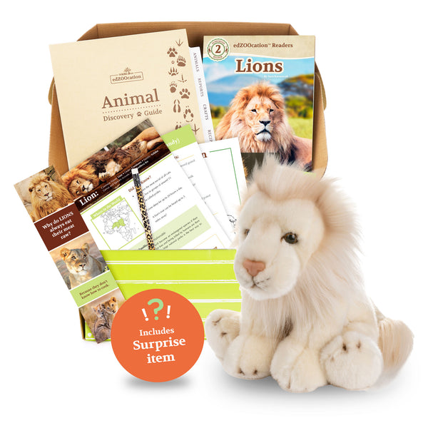 Lion Stuffed Animal edZOOcation™ Zoologist Box (Ages 6-8)