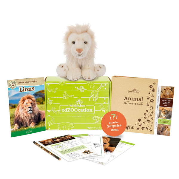 Lion Stuffed Animal edZOOcation™ Zoologist Box (Ages 6-8)