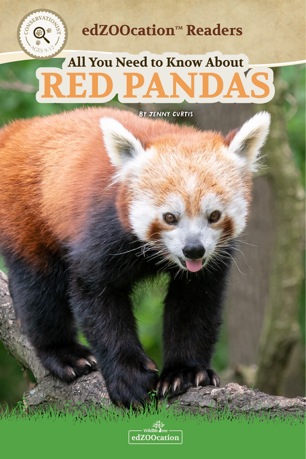 A book cover for 'All You Need to Know About Red Pandas' featuring an image of a red panda on a tree branch with a blurred background.