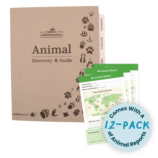 Animal Discovery Guide with animal reports on a white background