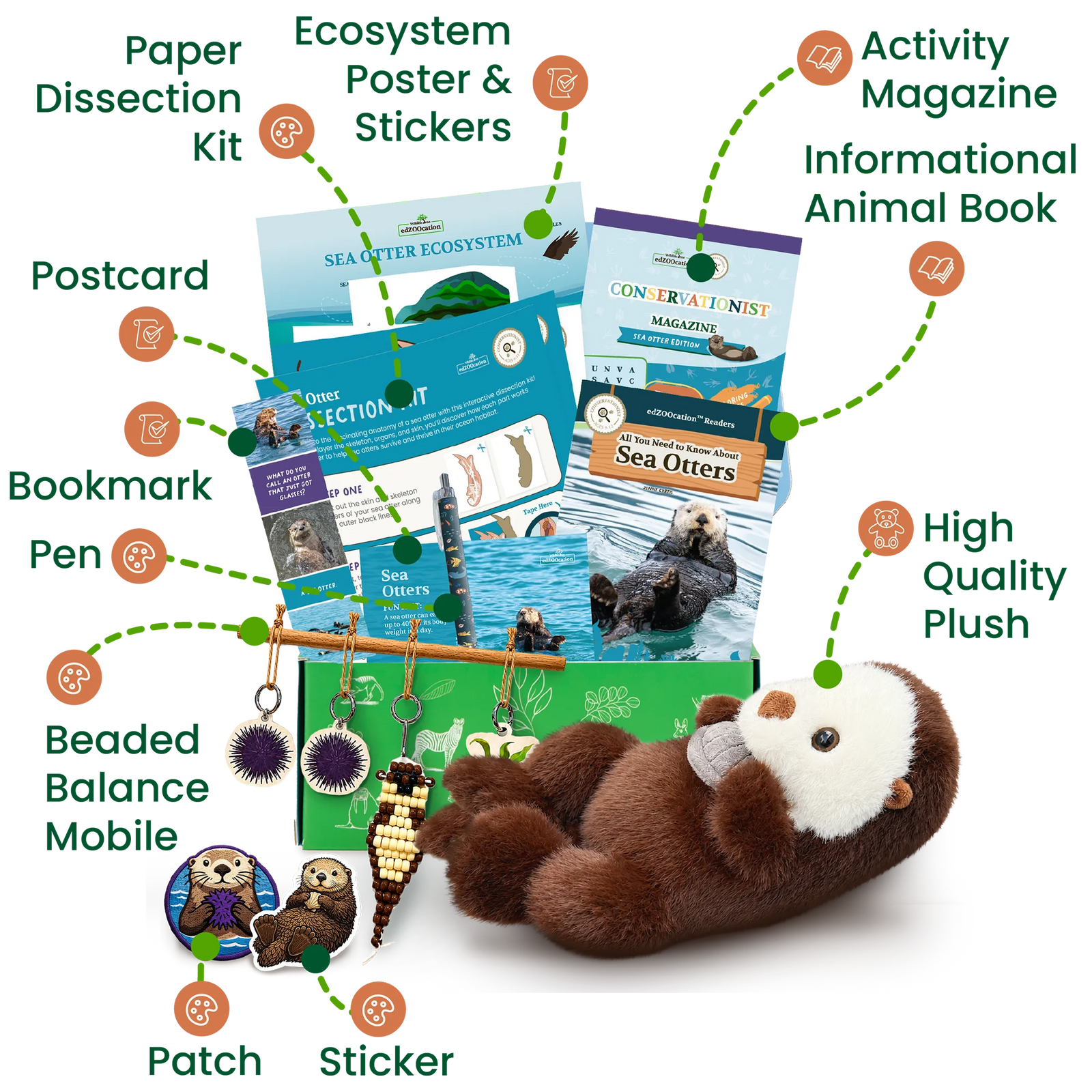 Everything inside the Conservationist (Age 9 - 12) box