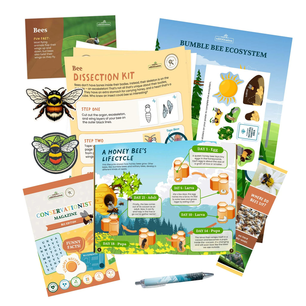 Educational animal kit with books, posters, and stationery on a white background