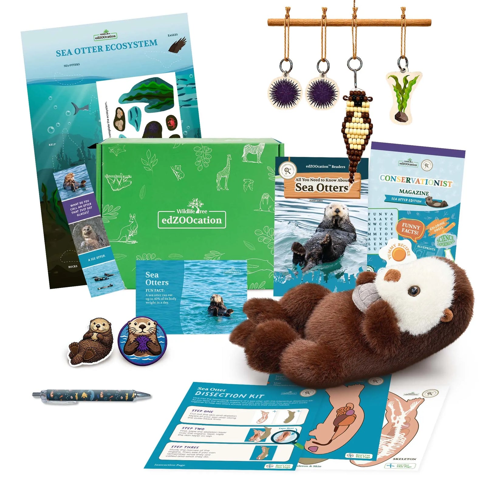 Everything inside the Conservationist (Age 9 - 12) box