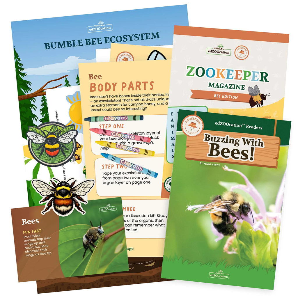 Educational materials about animals including a magazine, book, and activity sheets on a white background.