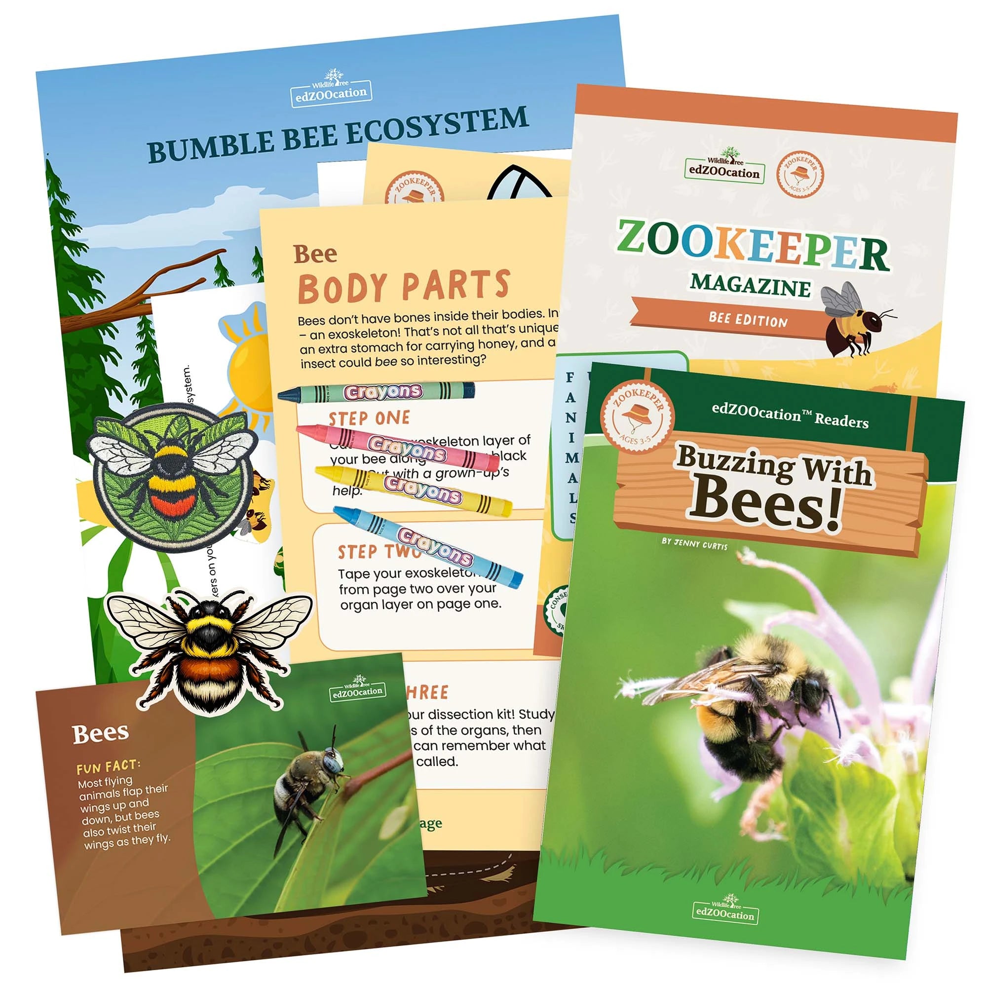 Educational materials about animals including a magazine, book, and activity sheets on a white background.