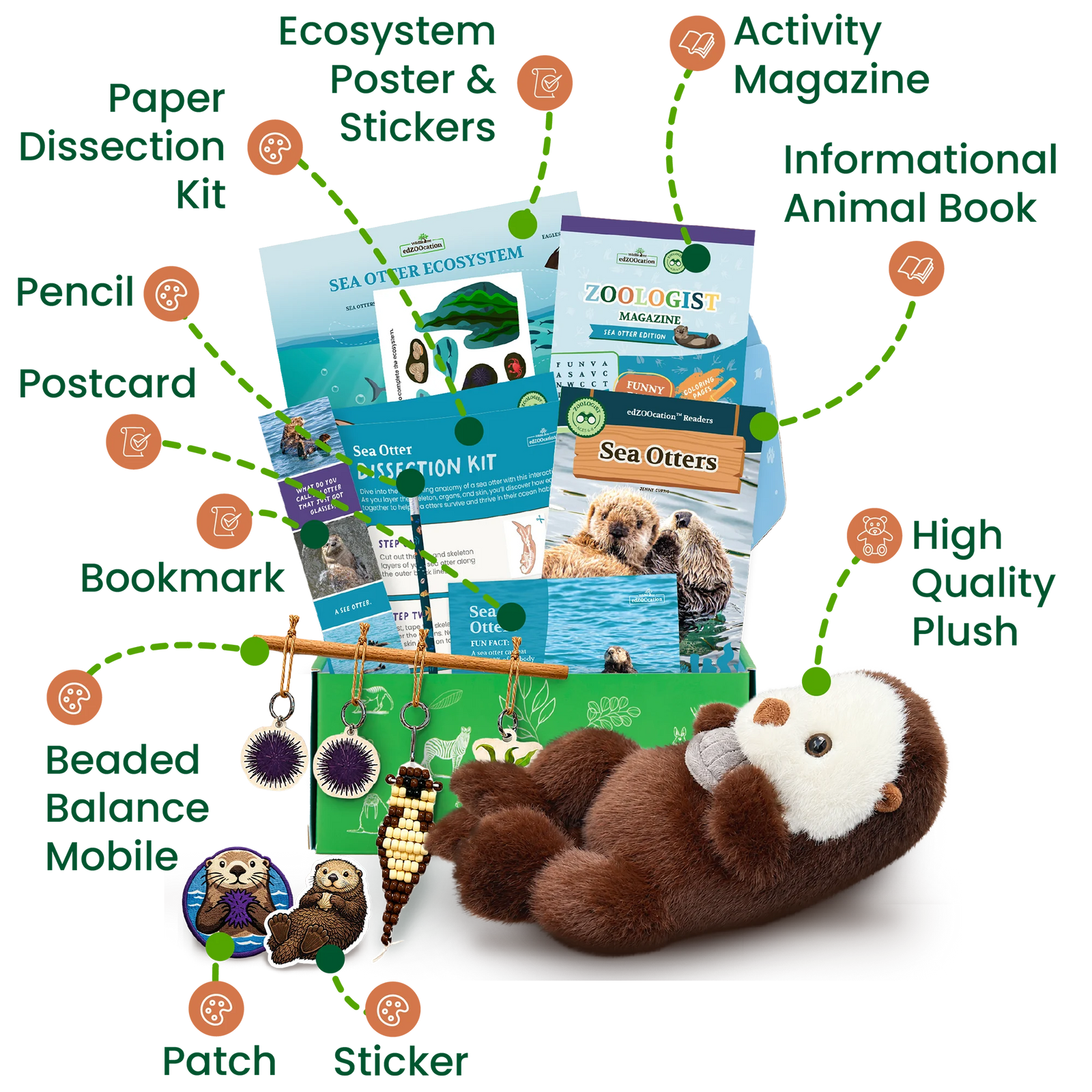 Everything inside the Zoologist (Age 6 - 8) box