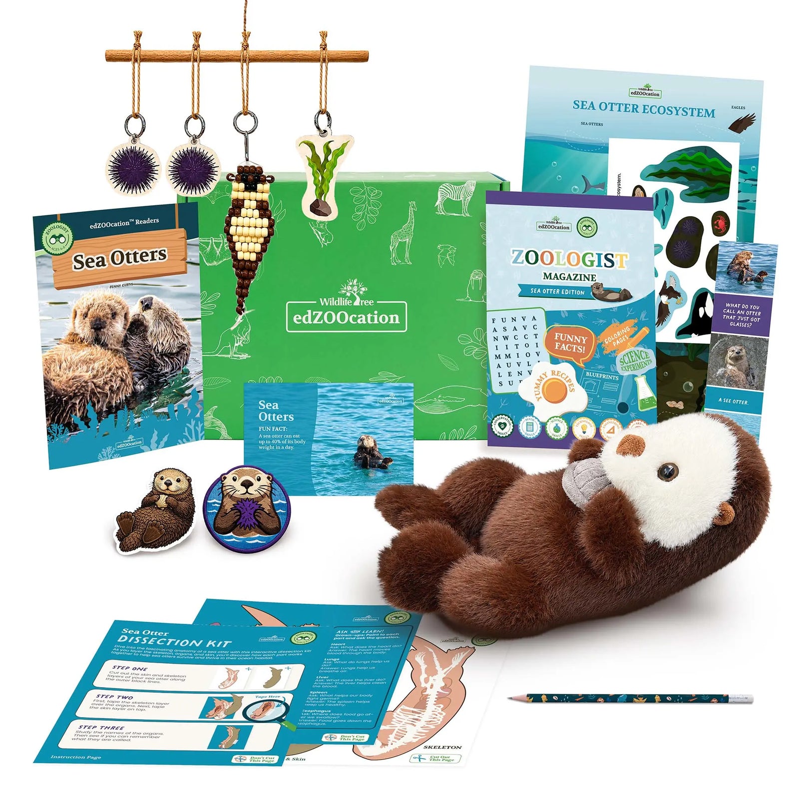 Everything inside the Zoologist (Age 6 - 8) box