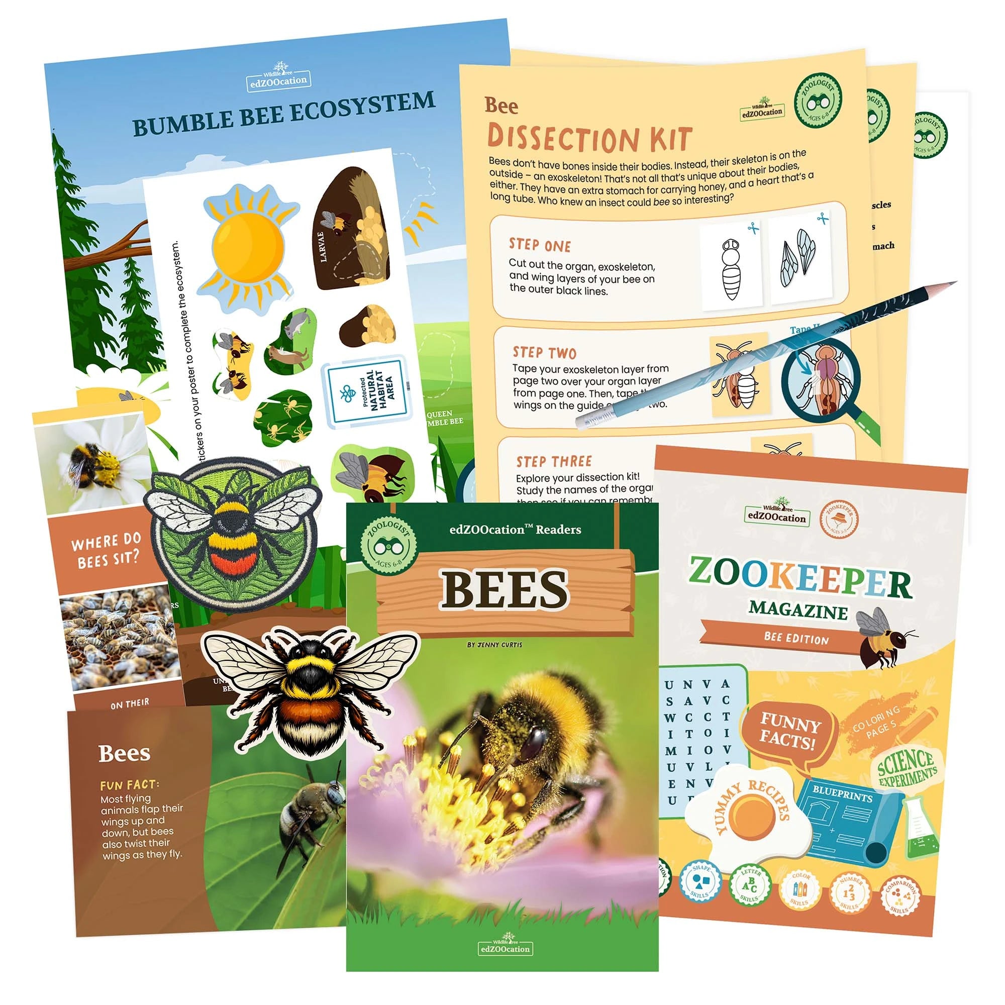 Educational animal kit with dissection guide, magazine, and posters on a white background