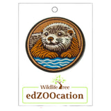 Patch: Sea Otter