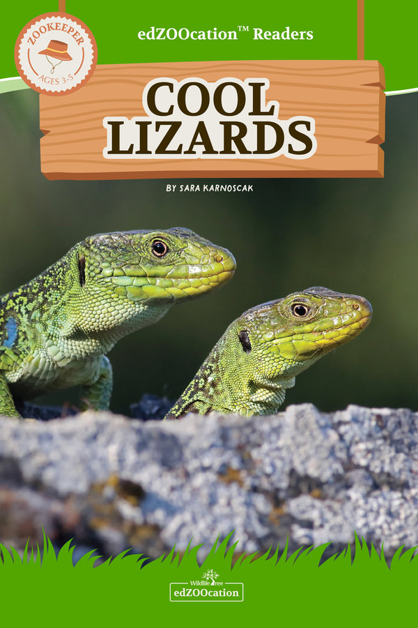 Cover of the 'edZOOcation™ Readers Book - Cool Lizards' featuring two green lizards on a rock.