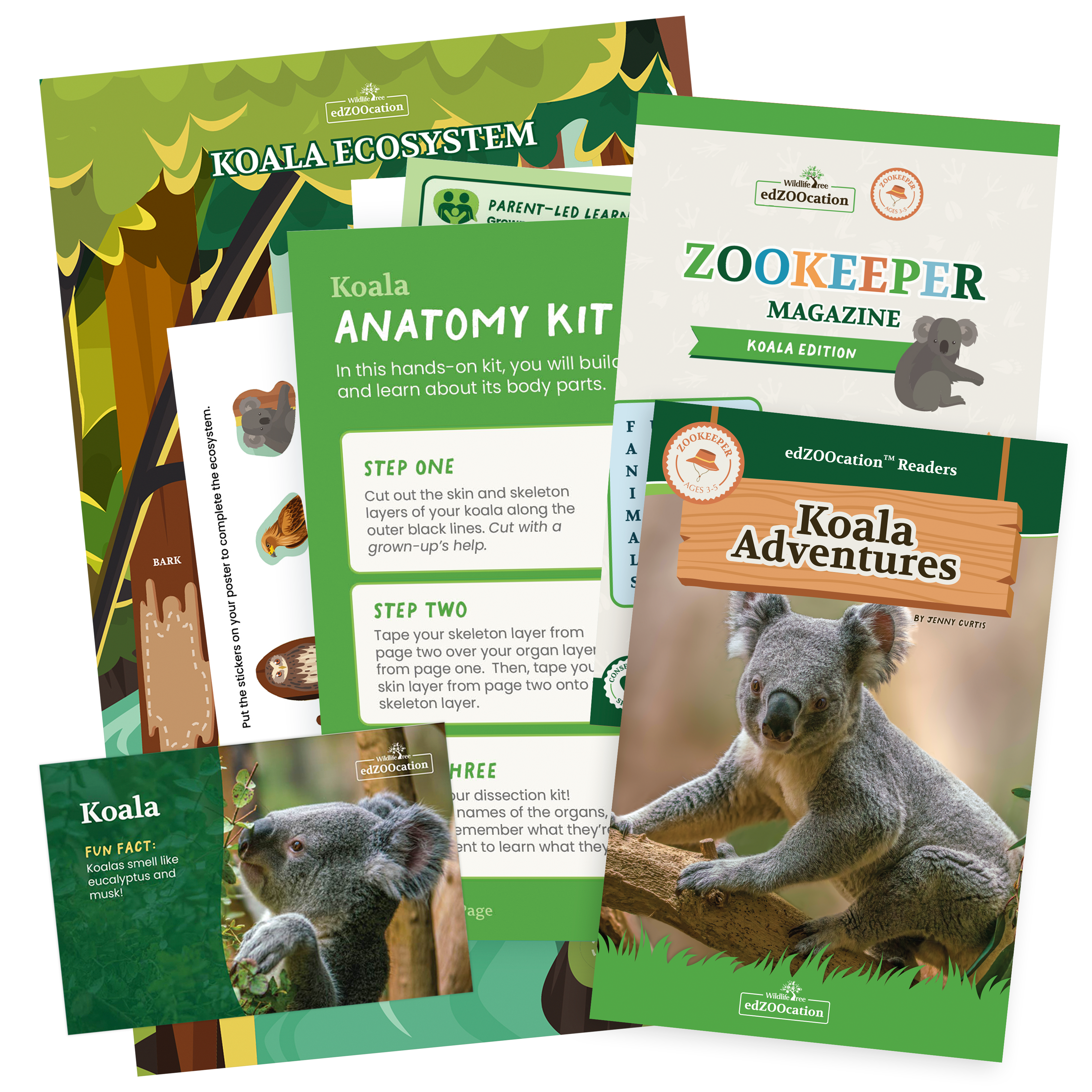 Educational materials about animals including a magazine, fact sheet, and activity booklets.