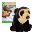 Plush bear toy next to a book titled 'Bears' by edZOOcation Readers on a white background.