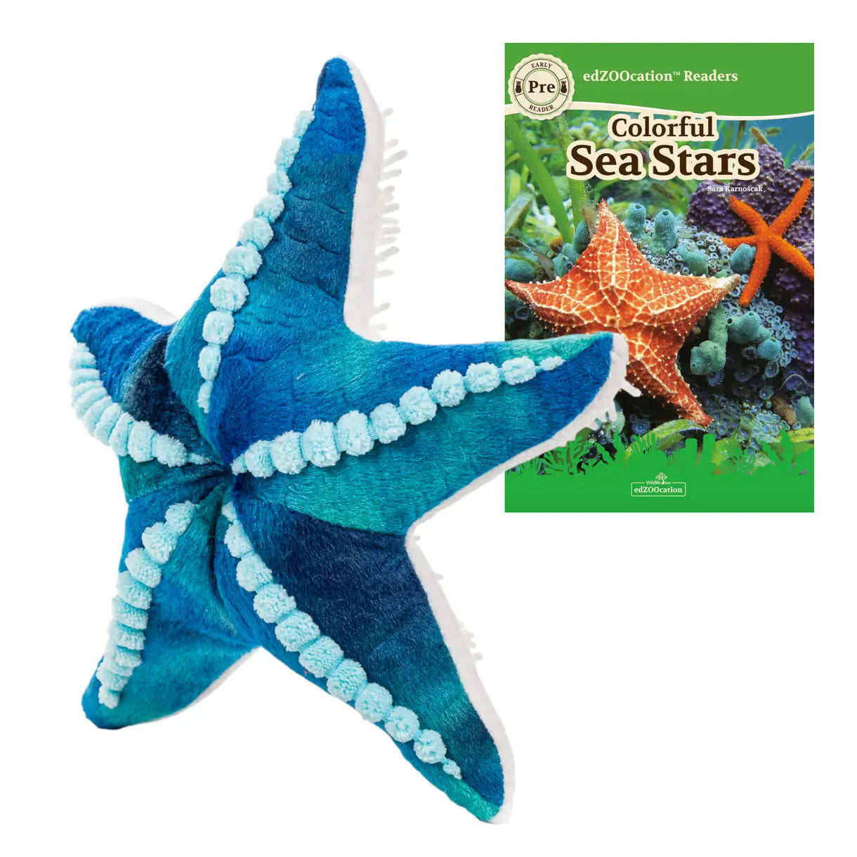 Blue plush starfish toy next to a children's book about sea stars on a white background