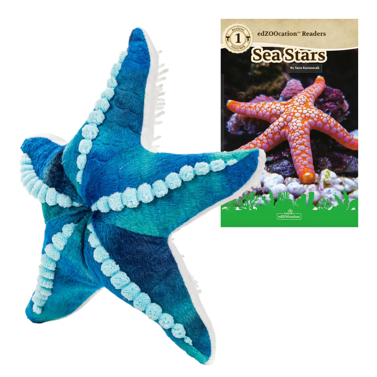 Blue starfish toy with a book titled 'Sea Stars' on a white background