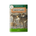 Book cover of 'All You Need to Know About Cheetahs' with cheetah images on a green background