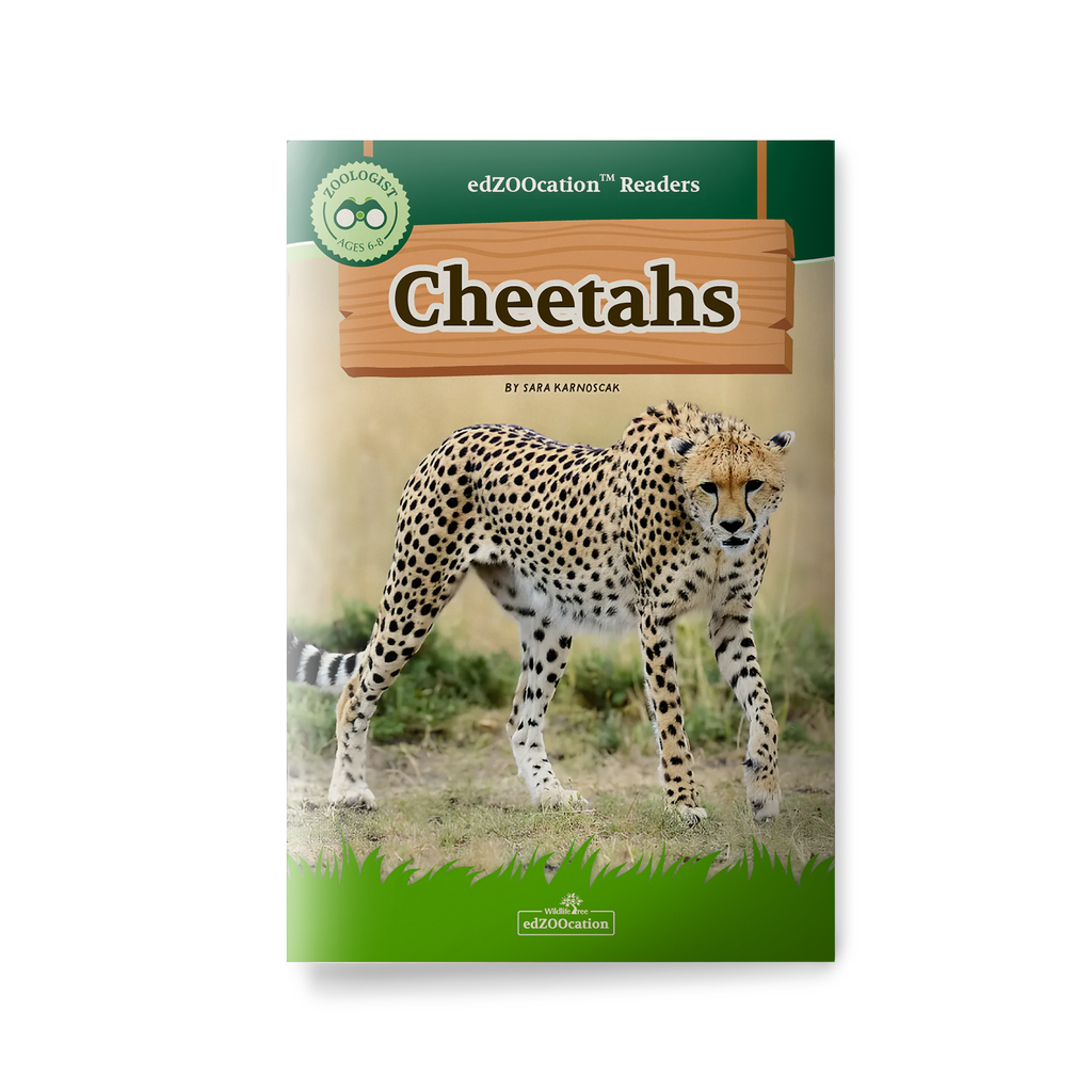 Book cover of 'Cheetahs' by edZOOcation with a cheetah illustration on a white background