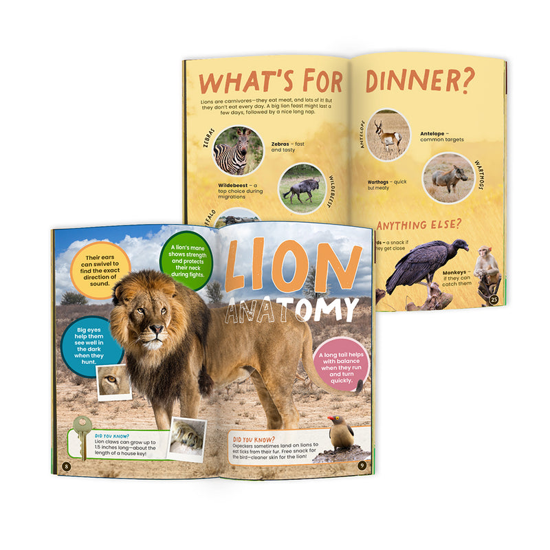 edZOOcation Conservationist Box for ages 9-12 with lion plush, animal dissection kit, ecosystem poster, and wildlife research activities