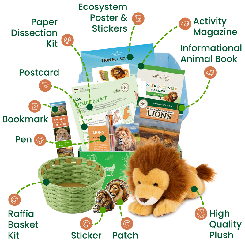 edZOOcation™ Conservationist Box (Age 9-12) - 6 Months