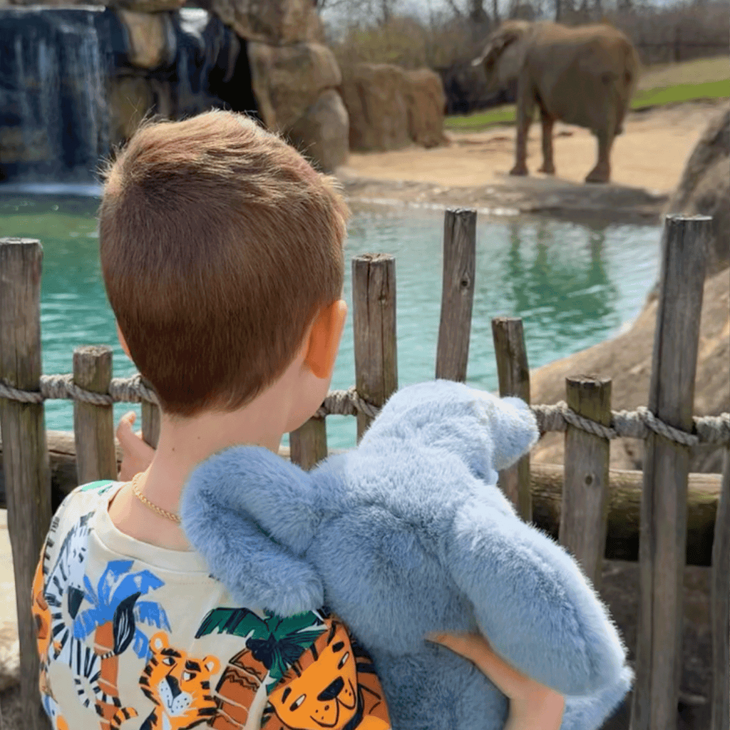 Child holding a Grey Elephant stuffed toy looking at elephants in a zoo enclosure.