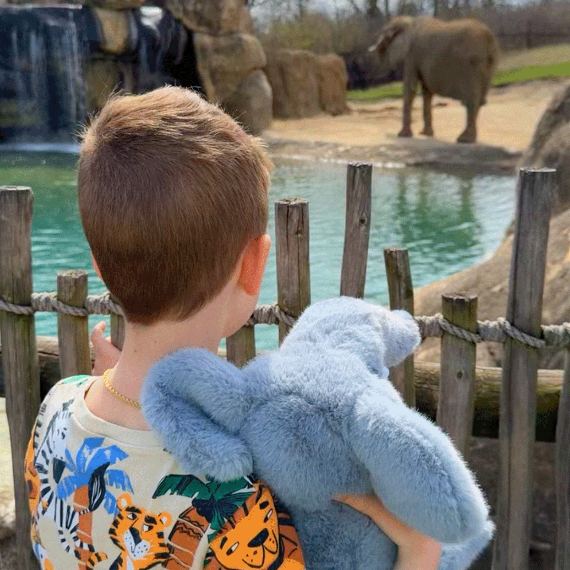 Child holding a Grey Elephant stuffed toy looking at elephants in a zoo enclosure.