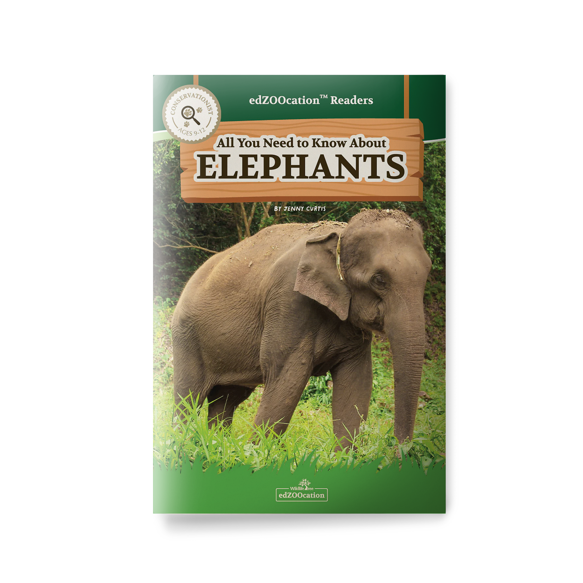 Book cover of 'All You Need to Know About Elephants' with an elephant on a green background