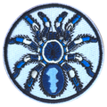 Embroidered patch of a spider on a light blue background