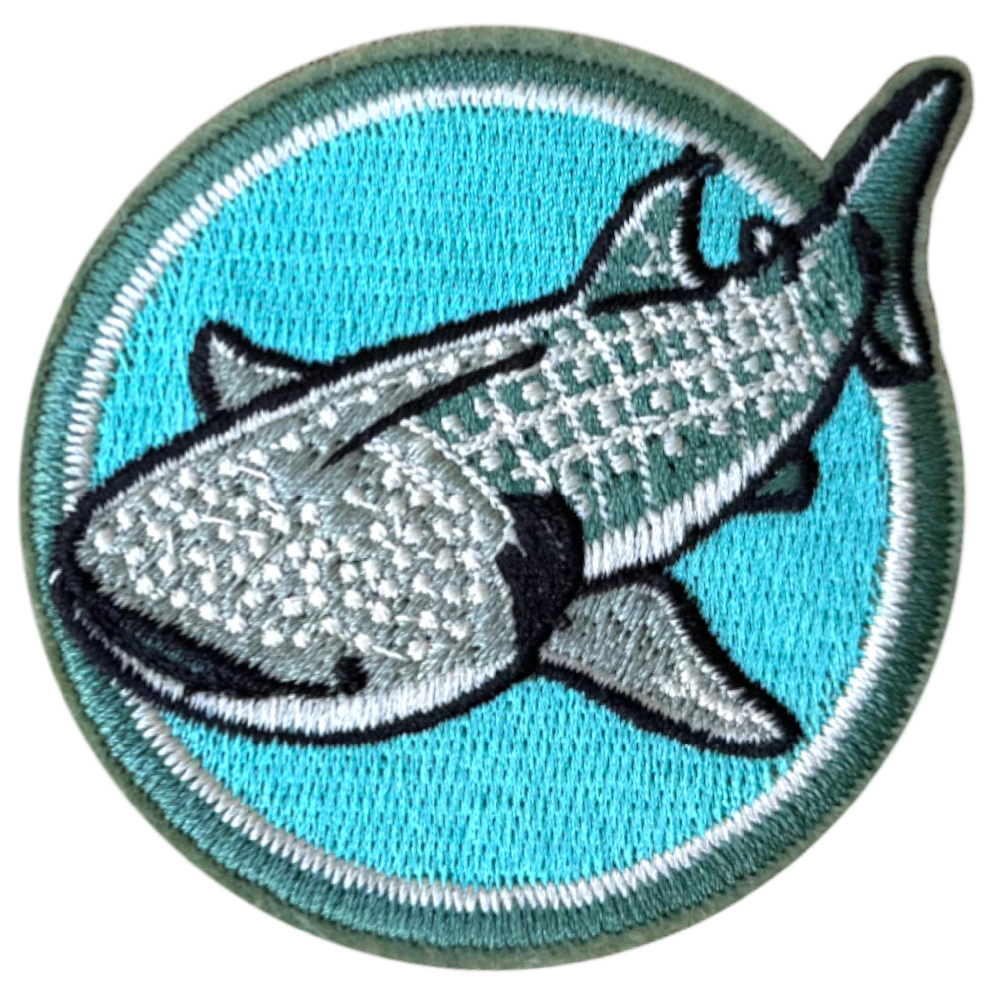 Whale shark patch on a blue background