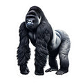 Decal Sticker: Gorilla