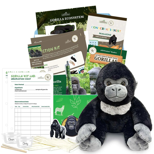 Gorilla Conservationist Box (Age 9-12) – edZOOcation