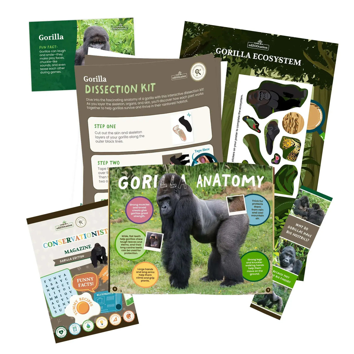 edZOOcation Animal Unit Studies