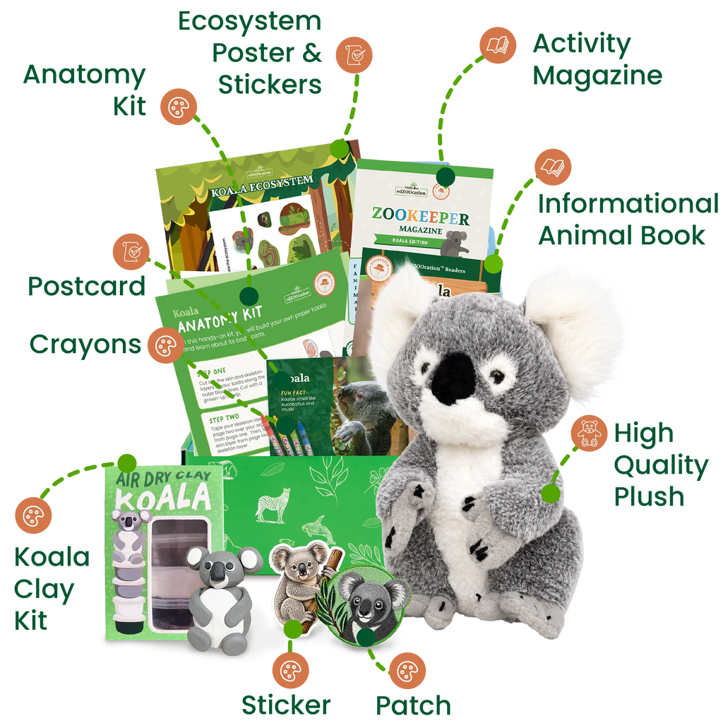 Koala Zookeeper Box (Ages 3-5)